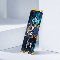FANXIANG S790E M.2 2280 SSD 1TB NVMe PCIe 4.0 Internal Solid State Drive 600TBW OEM Pasokan Massal Sistem Builder Tersedia di Stok