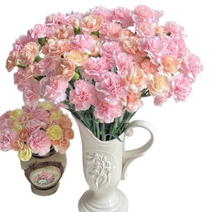 Bouquet <span class=keywords><strong>de</strong></span> <span class=keywords><strong>fleurs</strong></span> fraîches coupées Carnation, livraison directe pour la Fête des Mères et la Fête des Enseignants, usage domestique - Product Image 1