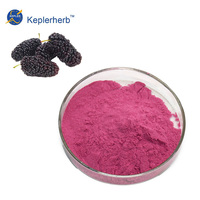 Morus Alba Fruitpoeder 80 Mesh Moerbei Sang Shen Rauw Fijne Natuurlijke Anthocyanine Superfood Ingrediënt OEM Bulk
