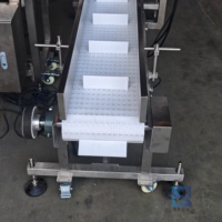 Ligne d'assemblage automatique antibactérienne en acier inoxydable de haute précision pour le comptage, les tests et la pesée dans l'industrie alimentaire
