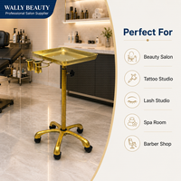 Plateau de travail mobile en acier inoxydable de haute qualité pour tatouage, réglable en hauteur, avec roulettes pour salon