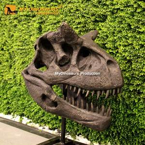 Crânes de dinosaure <span class=keywords><strong>Trex</strong></span> MY DINO, modèle en résine, cadre en acier, peinture acrylique, poudre de talc, résine, fibre de verre, tissu, taille réelle / personnalisé - Product Image 4