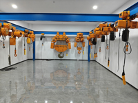 VISION Chine : Meilleures ventes d'équipements de levage – Mini-treuil électrique à chaîne de 100 kg à 600 kg, chariot de pont roulant, palans de levage