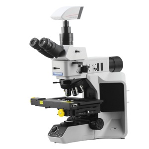 Material Biológico de Grado Industrial y de Nivel de Investigación para Laboratorio Médico y Enseñanza Científica - Product Image 2