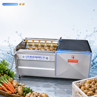 Laveuse automatique à rouleaux pour pommes de terre, carottes, gingembre et légumes racineux pour usine de transformation alimentaire