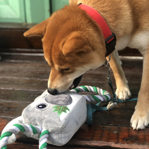 Pet chew <span class=keywords><strong>dog</strong></span> <span class=keywords><strong>toy</strong></span> Christmas deer koala bear Durable rope peluche <span class=keywords><strong>Tough</strong></span> <span class=keywords><strong>Dog</strong></span> Tug interaction <span class=keywords><strong>dog</strong></span> toys dura - Product Image 5