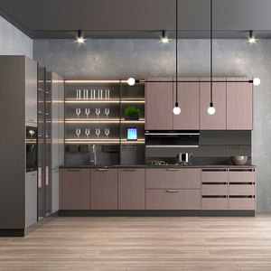 OPPOLIA Kitchen and Bath Modern Design Metal Laminate Glossy Kitchen Cabinets