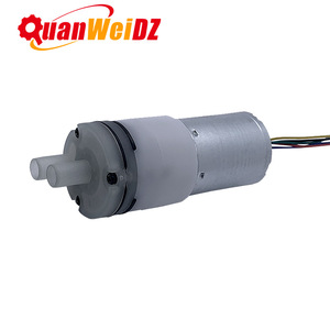 2430 Brushless Mini Water Pump 12V 5M Head 1.5L Min Flow <b>Plastic</b> Body Self Priming For Water Flosser Floor Mop - Product Image 1