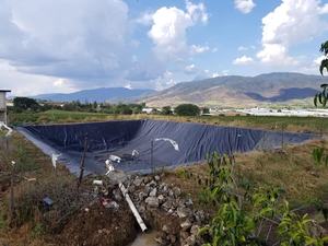 Bâche de bassin pour poissons de 60 mils à <span class=keywords><strong>vendre</strong></span>, prix - Product Image 3