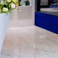 Dalle de marbre blanc premium TASSO WHITE, alternative au marbre italien Calacatta pour villas et hôtels de luxe