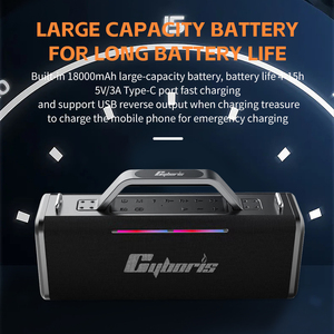 X12 200w ऑल-इन-वन कराओके स्पीकर सिस्टम, दोहरी वायरलेस माइक सेट, टी/यूएसबी/ऑक्स प्लेबैक, जन्मदिन और समारोहों के लिए पा फ़ंक्शन - Product Image 4
