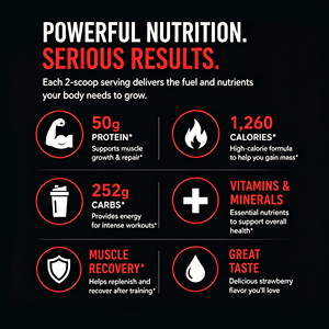 Polvo Ganador de <span class=keywords><strong>Masa</strong></span> <span class=keywords><strong>Muscular</strong></span> de Fresa de 2LB con Logotipo Personalizado, Alto en Calorías (1260), 50% Proteína, Suplemento <span class=keywords><strong>para</strong></span> Aumentar <span class=keywords><strong>Masa</strong></span> <span class=keywords><strong>Muscular</strong></span> y Peso, <span class=keywords><strong>para</strong></span> Gimnasio, OEM - Product Image 3