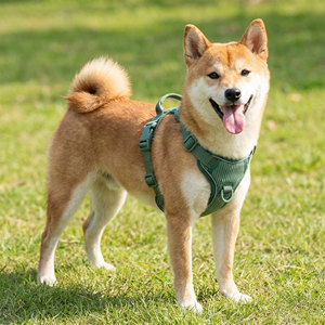 Harnais réfléchissant pour <span class=keywords><strong>chien</strong></span> avec anneaux en D avant et arrière, poignée anti-traction, poche GPS dissimulée, gilet respirant réglable pour la promenade et l'entraînement - Product Image 4