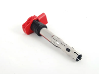 Bobine d'allumage rouge R8 EA113 Golf5 pour VW AUDI SEAT SKODA PORSCHE 06E-905-115F 06E-905-115E 06E-905-115A 06E-905-115B
