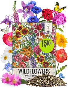 Lot de 14 sachets de fleurs sauvages pour le jardin, kit de mélange de plantes annuelles, types de plantes vivaces, tolérants à l'ombre pour les truies partielles de fleurs pour la plantation. - Product Image 2