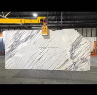 Klem logam pekerjaan berat, pengangkat batu lempengan granit baja kapasitas 1000kg dengan suspensi 60mm harga terjamin
