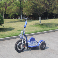 Scooter eléctrico de movilidad de 3 ruedas portátil de la mejor calidad, E-Trike, batería de plomo-ácido de 48V, viaje para discapacitados, modelo de 150kg, 2017