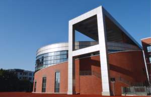 Tuiles flexibles de revêtement doux de mur de porcelaine Les briques creuses d'argile de conception fendue de <span class=keywords><strong>brique</strong></span> amincissent la caractéristique - Product Image 3