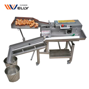 Broyeur de coquille d'œuf à prix industriel et séparateur de liquide White York pour casser les œufs - Product Image 2