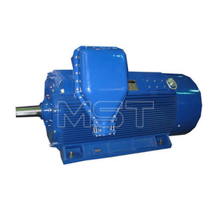 Motor a Prueba de Explosiones de Alto Voltaje AC 6kv, Motor Eléctrico a Prueba de Explosiones de Alto Voltaje - Product Image 2