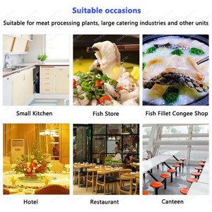 เครื่องหั่นปลา<span class=keywords><strong>แซลมอน</strong></span>ปลานิลไฟฟ้าเครื่องหั่นปลาขนาดเล็ก - Product Image 6