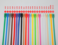 Cravates de câble réutilisables, en plastique et Nylon, confortables, réutilisables, pour aire de jeux d'intérieur, 200 pièces