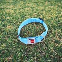 Collier de sécurité Colortranspare pour animaux de compagnie avec boucle en acier inoxydable, réglable et durable, verrouillable pour chiens/chats/petits animaux