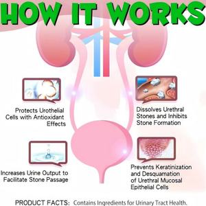 Layanan OEM/ODM perawatan infeksi & pendukung kandung kemih hewan peliharaan suplemen sistem urin dengan Cranberry alami - Product Image 3