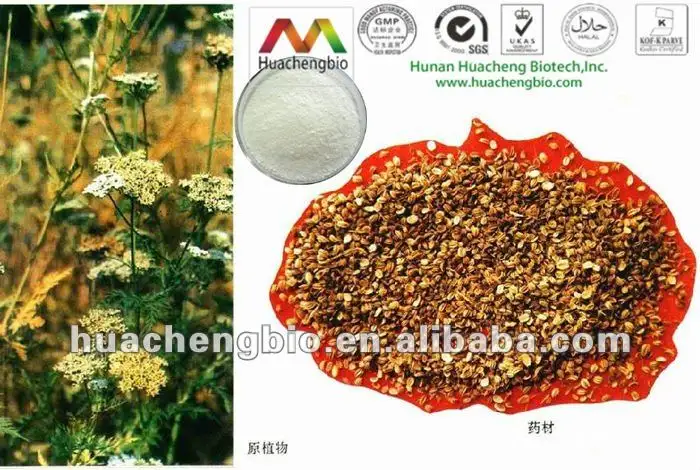 2022 Best Price Cnidium Seed Extract 98% Osthole Cnidium Monnieri Root Extract Osthole 10%