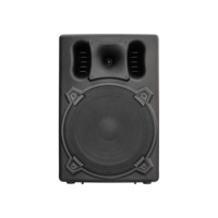 Haut-parleur PA actif compact en plastique pleine fréquence DASN DNR 15DQ 15 pouces 700W RMS DSP Audio pour extérieur, scène DJ et home cinéma