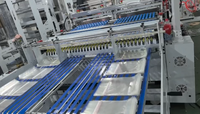 Machine de fabrication de sacs de courrier multifonctionnelle à deux lignes avec scellage latéral et découpe à chaud pour OPP, BOPP, PE