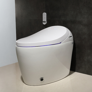 Bán Buôn Giá Rẻ 110V/220V S Trap/P Trap Nhật Bản Phòng Tắm Tự Động Tuôn Ra Thông Minh Electric Bidet Tự Động <span class=keywords><strong>Wc</strong></span> Thông Minh Nhà Vệ Sinh Bát - Product Image 4