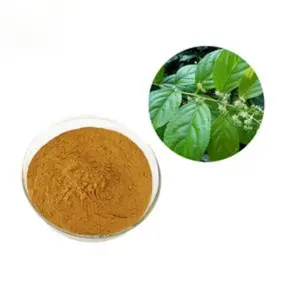 Triptolide Lei Gong Teng/Thunder God Vine Tripterygium Wilfordii Extract