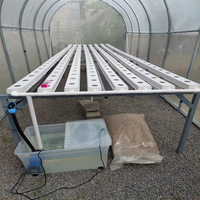 Système hydroponique complet en tunnels de tuyaux PVC, système hydroponique NFT pour légumes et laitues