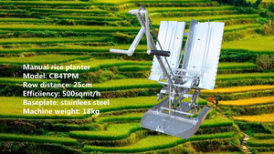 Trasplantadora de Arroz Manual Portátil, Pequeña Máquina para Plantar Arroz, Precio Económico, para Filipinas, India, Vietnam - Product Image 6