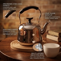 Bouilloire sifflante classique en acier inoxydable, théière de cuisson avec bec sifflant en bakélite, compatible plaque de cuisson