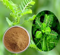 Extrait de Phyllanthus Niruri de haute qualité, échantillon gratuit, extrait de Chanca Piedra 10:1, poudre de Bhumi Amla en vrac