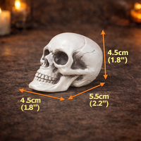 Nouvelles décorations réutilisables en PE pour la tête de squelette d'horreur d'Halloween 2026 pour fêtes, festivals, remises de diplômes, Thanksgiving, style gothique