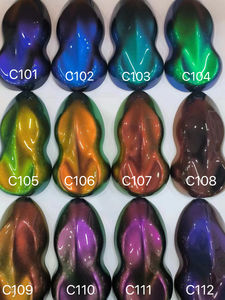 กิ้งก่าเปลี่ยนสีผงสีสำหรับสีสเปรย์ - Product Image 2