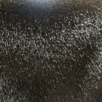 Tissu en Faux Daim de Mouton Premium en Gros avec Finition Suédée pour Doublure de Chaussures, Col et Chapeau – Écologique, Sans Cruauté Animale, Personnalisation Disponible