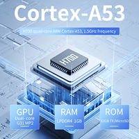 ANBERNIC RG34XX Consola de Juegos Portátil Clásica con Pantalla IPS 64GB de Memoria Conexión WiFi Nostálgico TV Link Transmisión en Línea