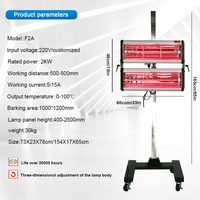 Lámpara de Curado de Pintura Infrarroja de Onda Corta de 2KW con Distancia de Trabajo de 500-800mm y CA 220-240V para Secado