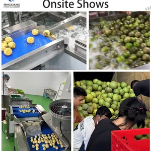 Ligne de lavage automatique de fruits 2000-3000KG/H, machine à laver les fruits de la passion et les ananas pour usage commercial - Product Image 4