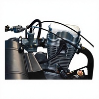 Tricycle à moteur à essence 250cc pour passagers, tricycle à essence à chargement lourd, tricycle à essence KEKE, tricycle motorisé double TVS, moto