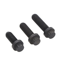 M5 M6 M7 M10 ASTM A193 A914 B8 B8M B8T ASTM A453 GR660 A286 18-8 polissage uni noir fini 12 points boulon à tête de bride