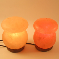Lampe de Sel de l'Himalaya Sculptée à la Main Dimmable, Rose Naturel, Lumière LED Chaude, Veilleuse de Bureau, Décoration Florale, Musique, Ange, Amour, Noël - Offre Spéciale