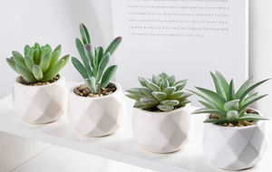 Xinrunjin Mini suculentas flores simuladas PVC portátil al por mayor pequeña decoración de plantas en maceta pantalla de seda regalos de negocios - Product Image 3