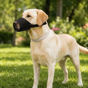 Collier anti-aboiement respirant en maille pour chien, réglable, pour petits, moyens et grands chiens, pour les promenades en extérieur - Product Image 1