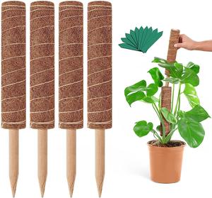 Poteau de mousse naturelle pour plantes Monstera <span class=keywords><strong>Piquets</strong></span> de plantes de 12 pouces pour l'intérieur, fait à la main <span class=keywords><strong>en</strong></span> coco, support de plantes de <span class=keywords><strong>tomates</strong></span> de jardin - Product Image 2