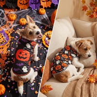 Tenues d'Halloween mignonnes pour animaux de compagnie : Vêtements de fête en polyester à imprimé fantaisie citrouille et chauve-souris pour Bichon Frisé, chiens Teddy et autres petites races